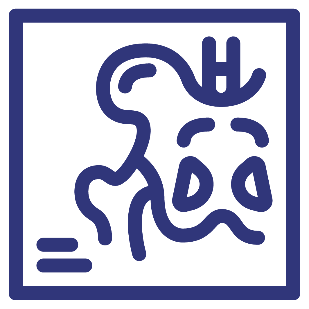 Les Examens Rdv vidi